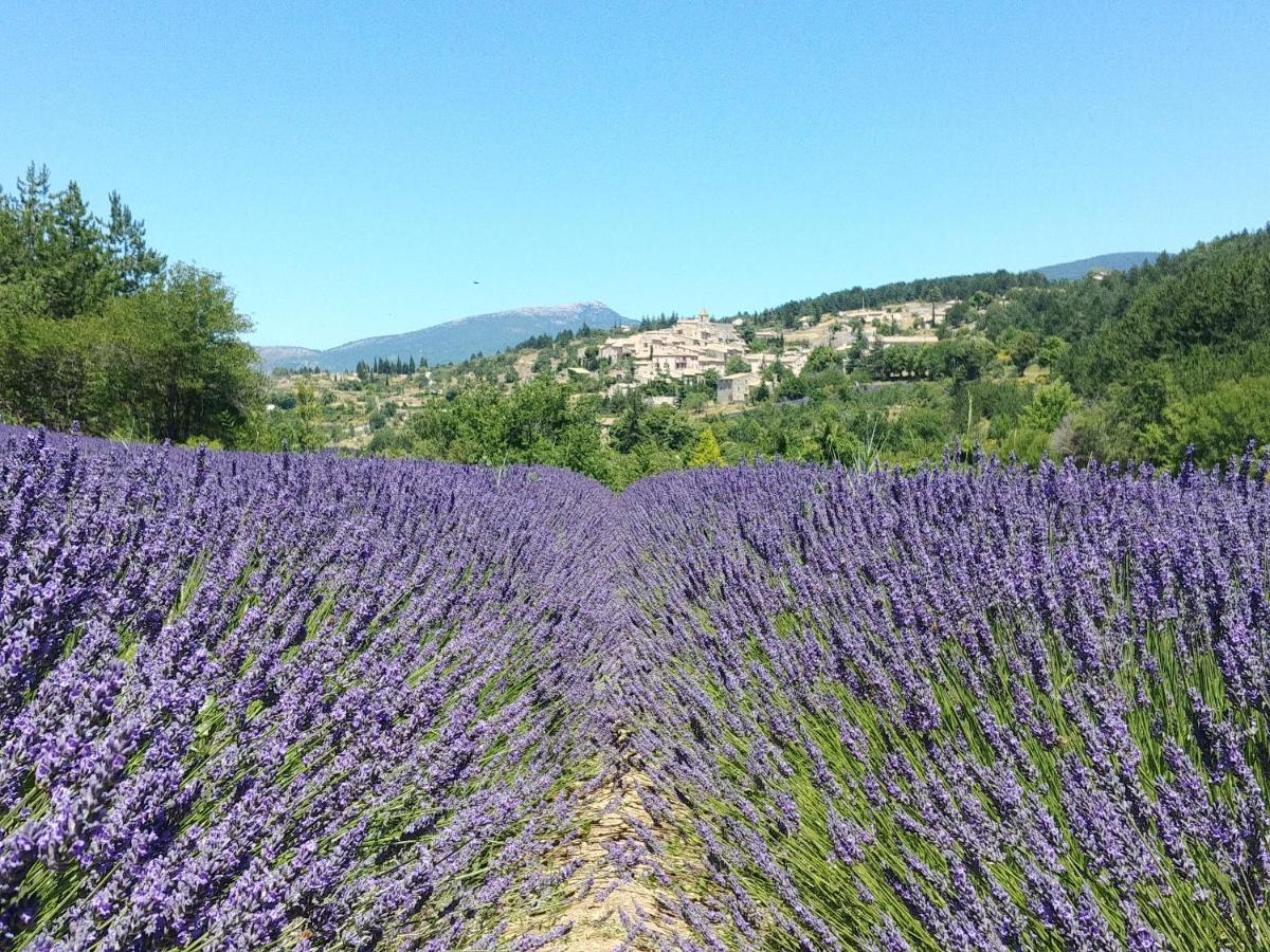 Le Mas Des Lavandes Sault-de-Vaucluse Exteriör bild